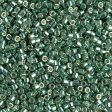 Miyuki Delica Bead 10 0, DBM1845, Duracoat Galvanized Sea Green For Cheap