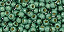 Toho 8 0 Round Japanese Seed Bead, TR8-589FPF, Matte Spruce Galv PermaFinish For Cheap