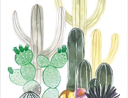 MS130 - Cacti Party on Sale